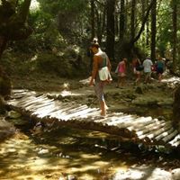 toth-brigitta-photo-8
